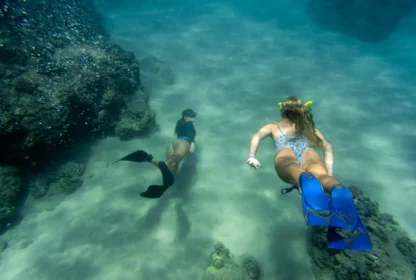 Explora la naturaleza y conéctate con el mundo